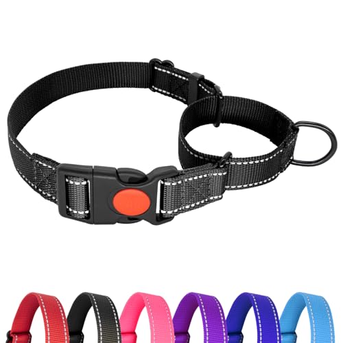 Hilkycton Martingale Halsband für Hunde, kein Herausrutschen, reflektierendes Welpenhalsband mit Schnellverschluss-Schnalle, strapazierfähiges, verstellbares Hundehalsband mit Sicherheitsverschluss von Hilkycton
