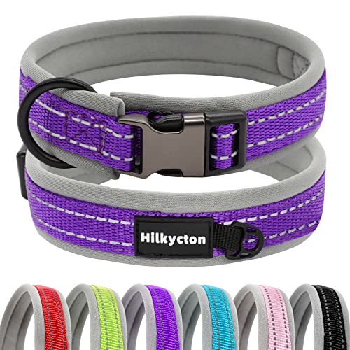 Hilkycton Reflektierendes Nylon gepolstert mit weichem Neopren-Hundehalsband, verstellbare, strapazierfähige, breite Haustierhalsbänder, leicht für mittelgroße und große Hunde, lila-L von Hilkycton