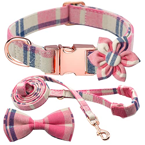 Kariertes Hundehalsband, Leine, Set mit Fliege, verstellbar, niedlich, Welpenhalsband mit strapazierfähiger Metallschnalle, Mädchen, Jungen, mittelgroße und große Hunde, Rosa-L von Hilkycton