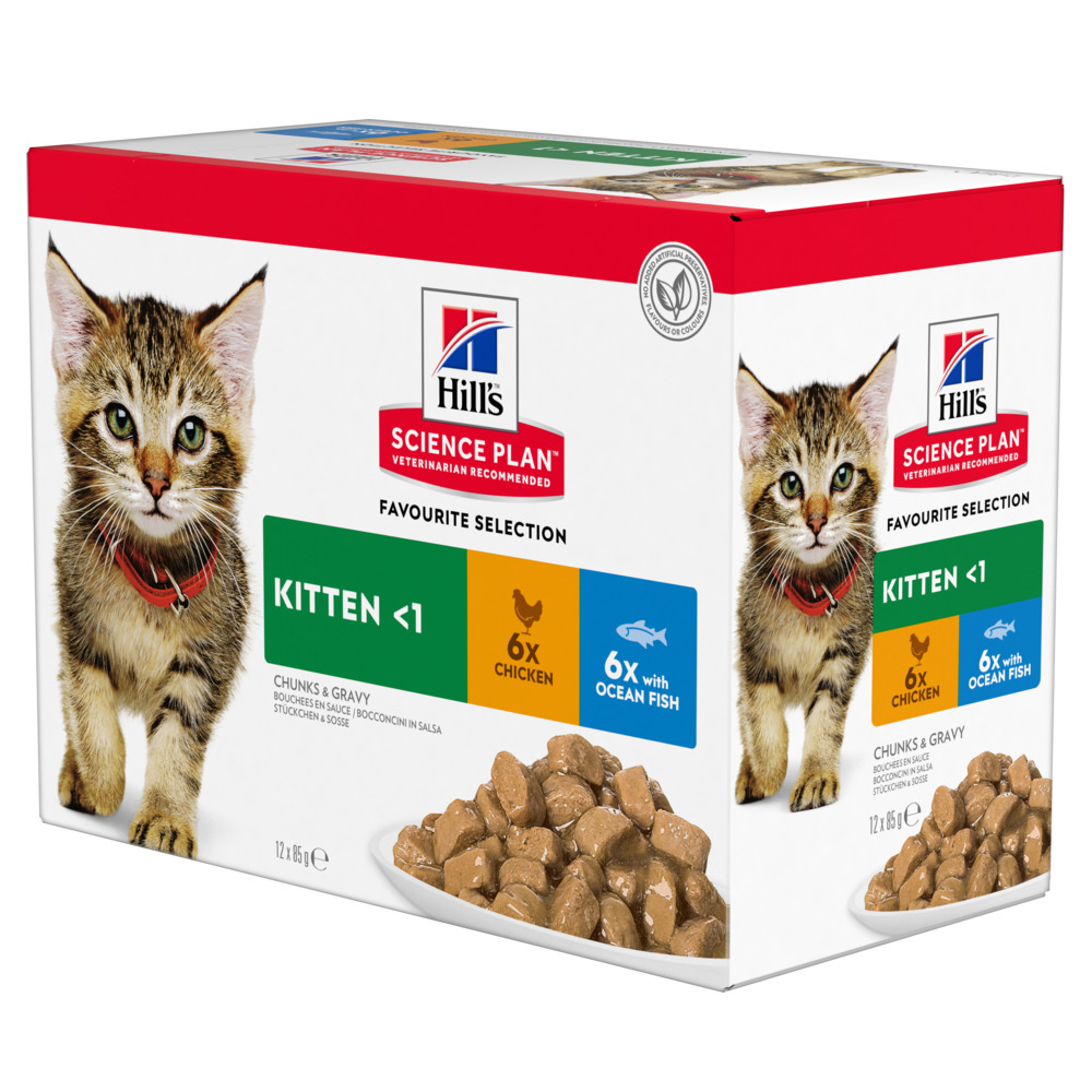 Hill's Science Plan Kitten Huhn - Ergänzend: 12 x 85 g Hill's Science Plan Kitten Huhn & Seefisch von Hill's Science Plan