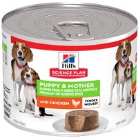 Hill's Science Plan Puppy & Mother Tender Mousse - 12 x 200 g Huhn von Hill's Science Plan