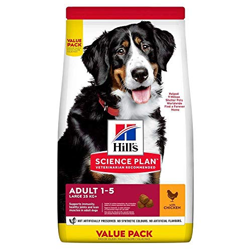 Hill' S Wissenschaft Plan Canine Erwachsene Gesundheit & Form Lebensmittel für Hund Große Race Huhn 18 kg von Hill's