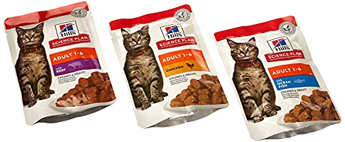 Hill Science Plan Feline Adult Katzenfutter Biscuit Fragile Magen-Huhn mit Ei / Reis (12 X 85g) von Hill's
