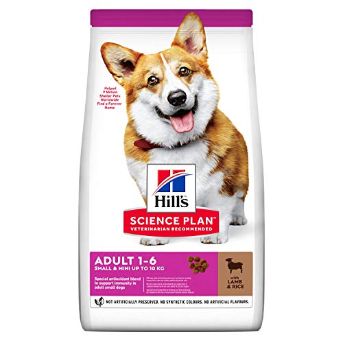 Hill's Canine Adult Small & Mini Lamm & Reis Hundefutter, 1500 g von Hill's Science Plan