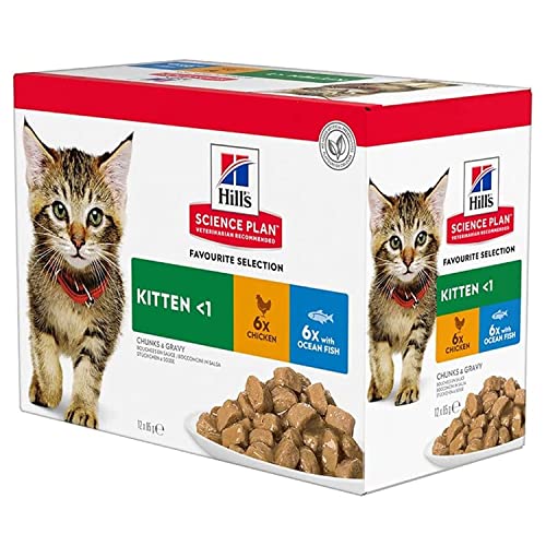 Hill's SP - Kitten - Favourite Selection 12 x 85 g (+ Gratis Behälter) von Hill's