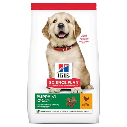 Hill's Science Plan - Puppy Large Breed - Chicken 12 kg von Hill's