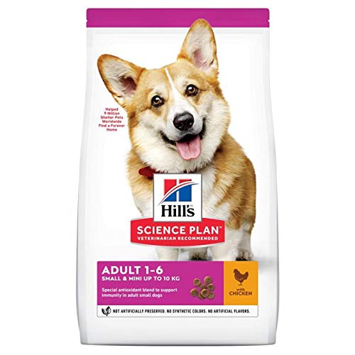 Hill Science Plan Adult 1-6 Small & Mini mit Huhn 6kg Balance Trockenfutter für kleine Rassen ausgewachsene Hunde mit Omega-6-Fettsäuren & Vitamin E für Haut & Fell Gesundheit mit Antioxidantien von Hill