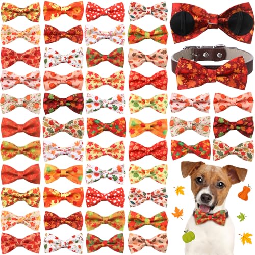Hillban Hundehalsband, Ahornblätter, Hundehalsband, Zubehör, Haustier-Fliegen, Befestigung mit elastischen Bändern, abnehmbare Anhänger für Hunde, Herbstkostüm, 50 Stück Hillban Hundehalsband, Ahornblätter, Hundehalsband, Zubehör, Haustier-Fliegen, Befestigung mit elastischen Bändern, abnehmbare Anhänger für Hunde, Herbstkostüm, 50 Stück von Hillban