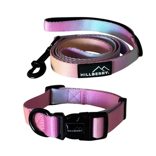 HILLBERRY Hundehalsband und Leine, verstellbar, Regenbogenfarben, Rosa, Lila, Blau, Welpen, Haustierzubehör und Zubehör, Größe M von Hillberry