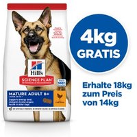Hill's Canine Active Longevity Mature Adult 6+ Senior Large Breed 18 kg von Hills