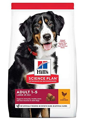 Hill's Canine Adult Large Breed mit Huhn 12kg, 1er Pack (1 x 12 kg Packung) - Hundefutter von Hills