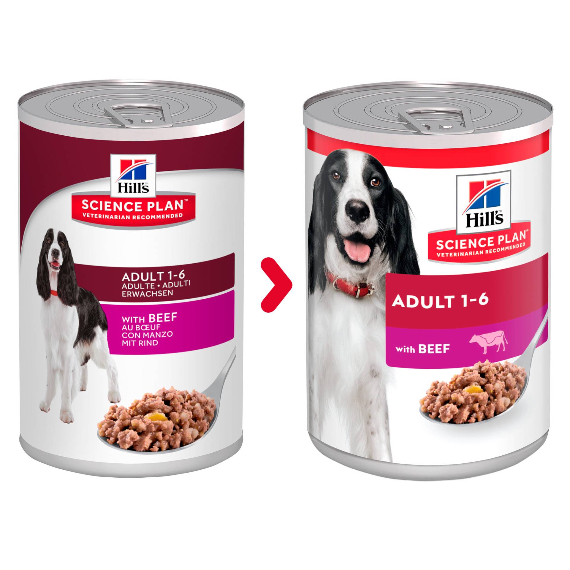 Hill's Science Plan Canine Adult - Beef - Dosen 12 x 370 g von Hills