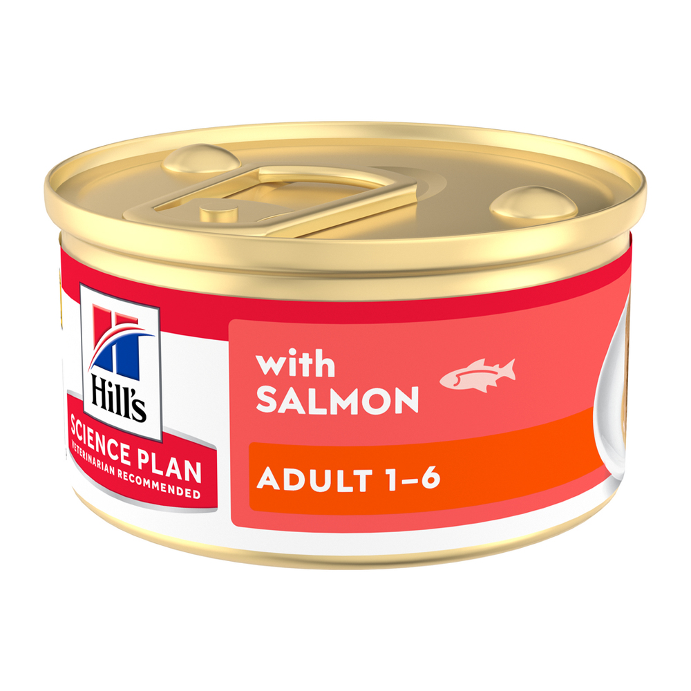 Hill's Science Plan Feline Adult Premium Mousse - Lachs - 12 x 85 g Hill's Science Plan Feline Adult Premium Mousse - Lachs - 12 x 85 g von Hills