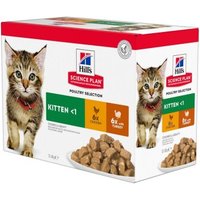 Hill's Science Plan Kitten Multipack mit Huhn & Truthahn 12x85 g von Hills