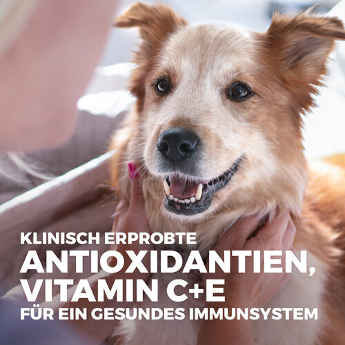 Hill's Science Plan Perfect Weight Adult Hundefutter - Dosen - 12 x 363 g Hill's Science Plan Perfect Weight Adult Hundefutter - Dosen - 12 x 363 g von Hills