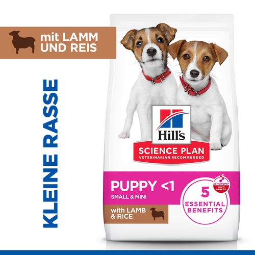 Hill's Science Plan Small & Mini - Welpe - Lamm & Reis - 6 kg von Hills