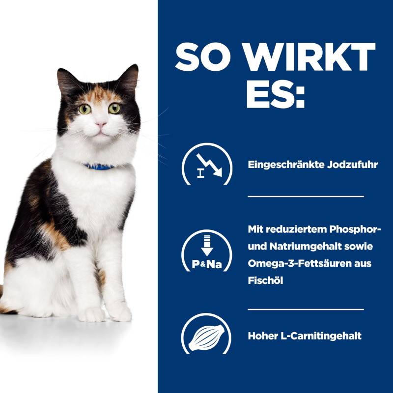 Hill's y/d - Feline Dosen 72 x 156 g von Hills