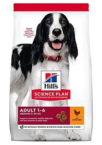 Hills Canine Adult mit Huhn 12kg, 1er Pack (1 x 12 kg Packung) - Hundefutter von Hills
