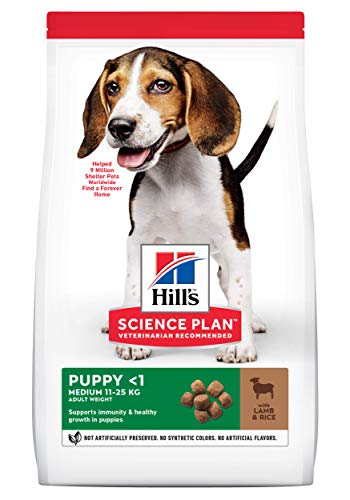 Hills Canine Puppy Healthy Development Lamm & Reis 12kg, 1er Pack (1 x 12 kg Packung) von Hills