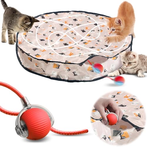 Hillylolly Interaktives Katzenspielzeug Ball mit Matte, Katzenspielzeug Matte, Jagd Katze Matte Spielzeug, Interactive Cat Toys, 2 in 1 Simuliertes Interaktives Jagdkatzenspielzeug von Hillylolly