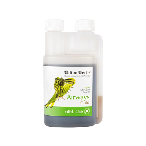 Hilton Herbs Airways Gold for Birds (für Vögel) - 500 ml von Hilton Herbs