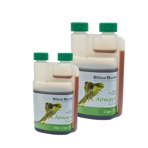 Hilton Herbs Airways Gold for Birds (für Vögel) - 500 ml von Hilton Herbs