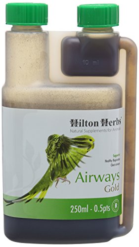 Hilton Herbs Airways Gold for Birds - 250 ml Hilton Herbs Airways Gold for Birds - 250 ml von Hilton Herbs