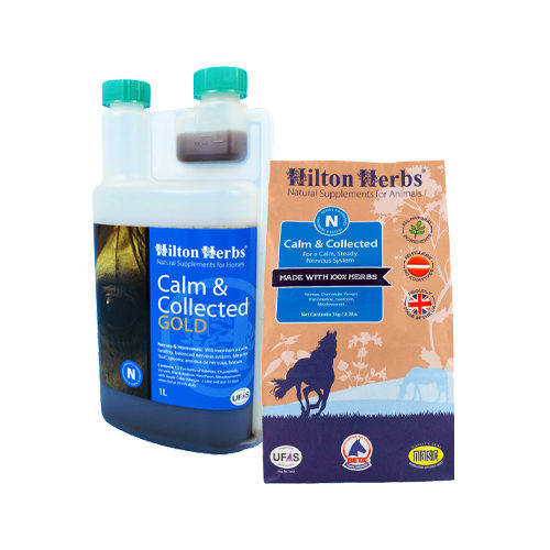 Hilton Herbs Calm & Collected for Horses - Liquid - 1 Liter von Hilton Herbs