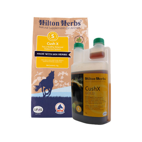 Hilton Herbs Cush X for Horses - Liquid - 1 Liter von Hilton Herbs