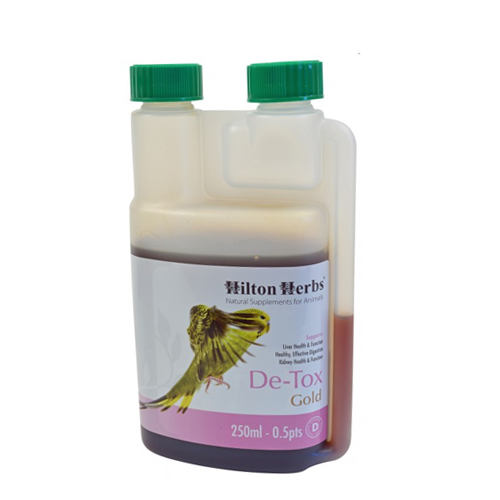 Hilton Herbs DE-TOX Gold for Birds (für Vögel) - 250 ml von Hilton Herbs