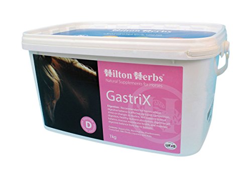 Hilton Herbs Digest Support for Dogs - 125 g von Hilton Herbs