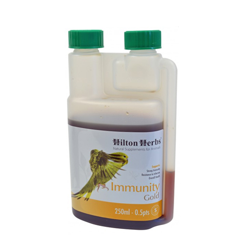 Hilton Herbs Immunity Gold for Birds (für Vögel) - 250 ml von Hilton Herbs