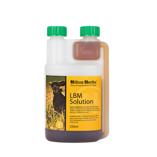 Hilton Herbs LBM Solution for Dogs - 250 ml von Hilton Herbs