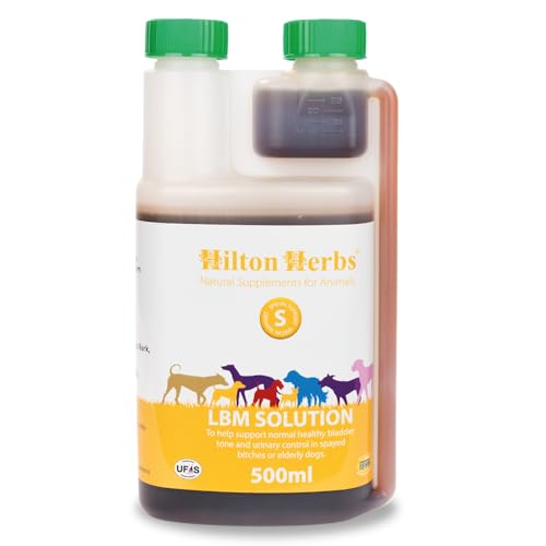 Hilton Herbs LBM Solution for Dogs - 500 ml von Hilton Herbs