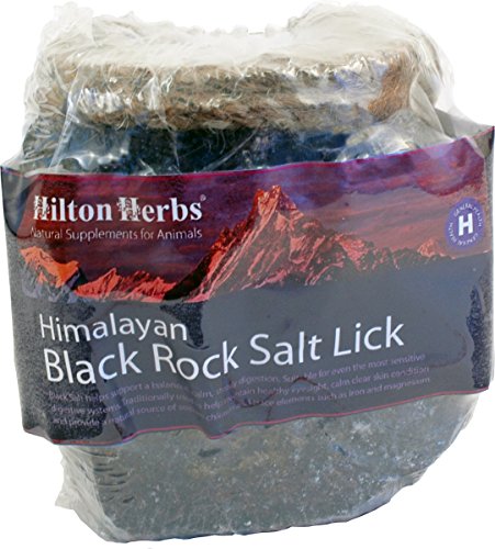 Hilton Herbs Leckstein Himalaya-Salz für Pferde, 1 kg von Hilton Herbs