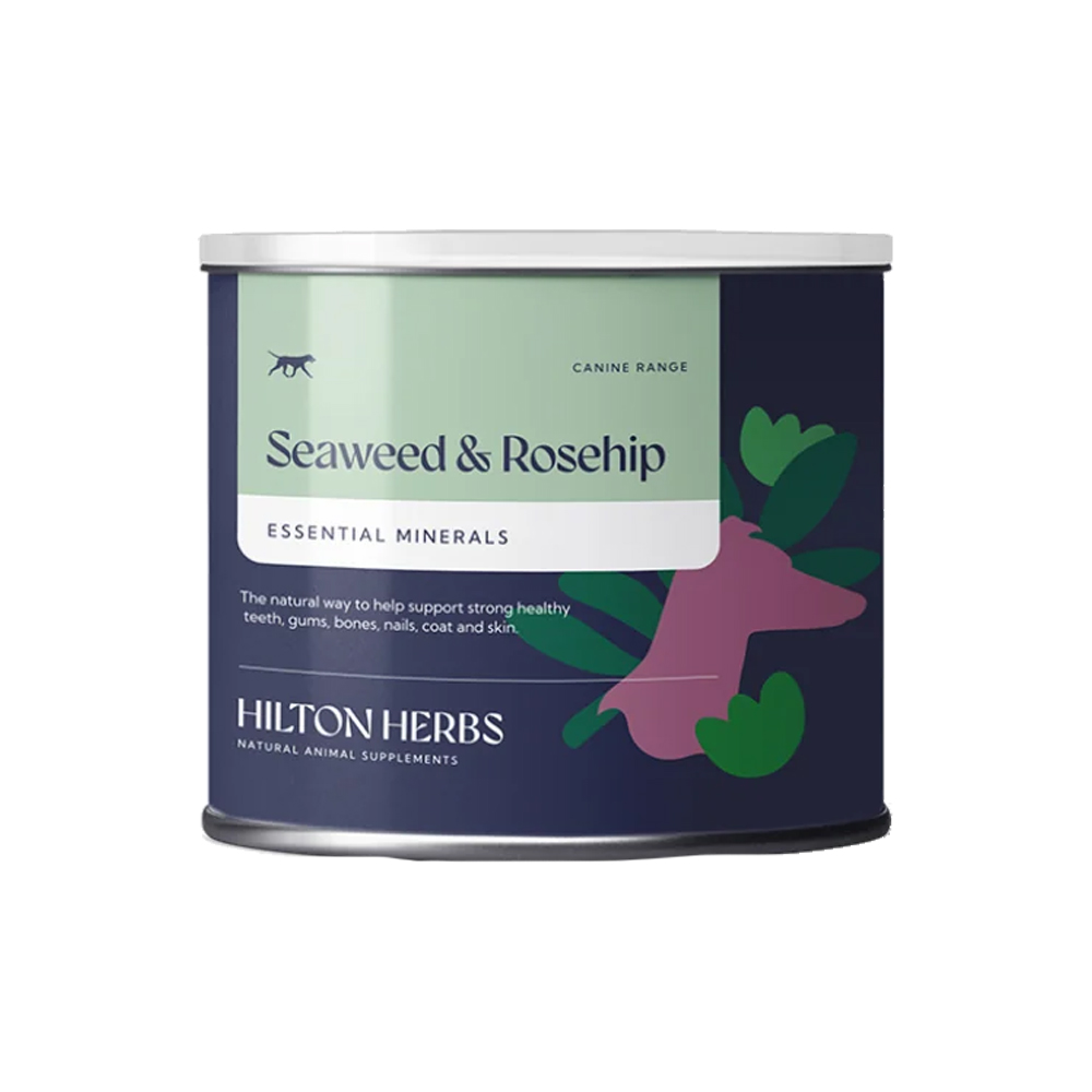 Hilton Herbs Seaweed & Rosehip for Dogs - 125 g Hilton Herbs Seaweed & Rosehip for Dogs - 125 g von Hilton Herbs