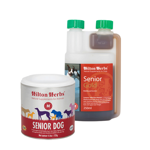 Hilton Herbs Senior Gold für Hunde - 250 ml von Hilton Herbs