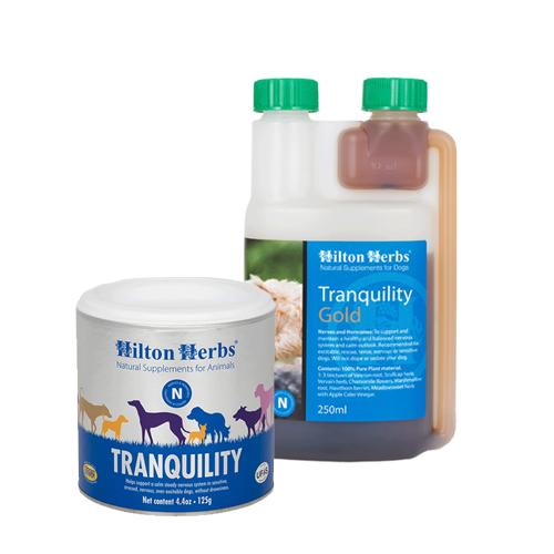 Hilton Herbs Tranquility Gold for Dogs - 250 ml von Hilton Herbs