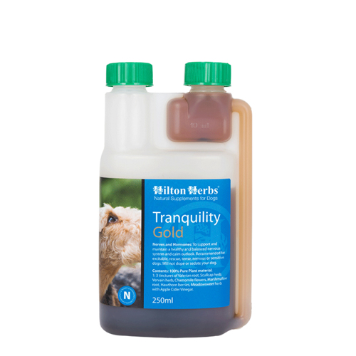 Hilton Herbs Tranquility Gold for Dogs - 500 ml von Hilton Herbs
