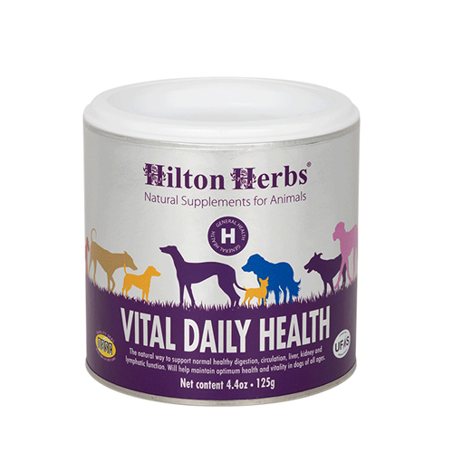 Hilton Herbs Vital Daily Health for Dogs - 125 g von Hilton Herbs