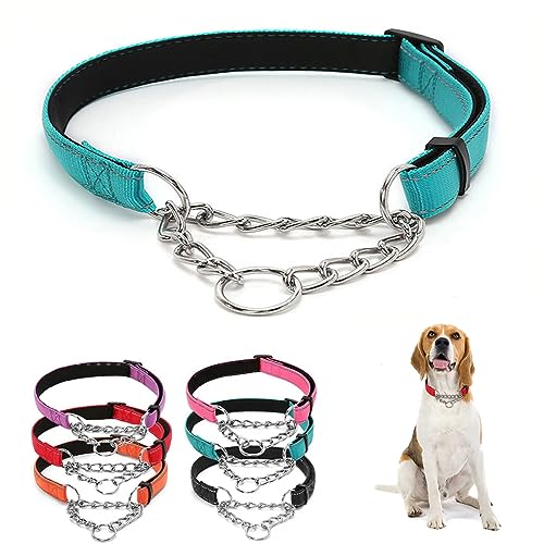 Edelstahlkette Martingale Halsband – Edelstahlkette Reflektierendes Nylongewebe Haustierhalsbänder für kleine, mittelgroße und große Hunde, Blaugrün, S Edelstahlkette Martingale Halsband – Edelstahlkette Reflektierendes Nylongewebe Haustierhalsbänder für kleine, mittelgroße und große Hunde, Blaugrün, S von HimyBB