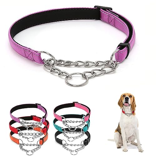 Edelstahlkette Martingale Halsband - Edelstahlkette Reflektierendes Nylongewebe Haustierhalsbänder für kleine, mittelgroße und große Hunde Lila M Edelstahlkette Martingale Halsband - Edelstahlkette Reflektierendes Nylongewebe Haustierhalsbänder für kleine, mittelgroße und große Hunde Lila M von HimyBB