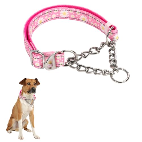 Martingale-Halsband aus Edelstahl für Hunde kein Ziehen Slip Cinch-Training ausbruchsicher, strapazierfähig, für kleine, mittelgroße Haustiere, Jungen, männliche Hunde Martingale-Halsband aus Edelstahl für Hunde kein Ziehen Slip Cinch-Training ausbruchsicher, strapazierfähig, für kleine, mittelgroße Haustiere, Jungen, männliche Hunde von HimyBB