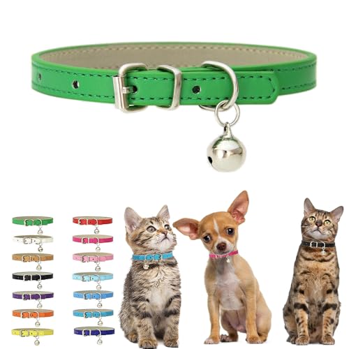 Grünes Kätzchenhalsband mit Glöckchen, weiches PU-Leder, kleine Hundehalsbänder, verstellbare Schnalle, für XXS, XS, XS, XS, M, winzige weibliche Männer, Jungen, Mädchen, Haustiere, Welpen, Katzen, Grünes Kätzchenhalsband mit Glöckchen, weiches PU-Leder, kleine Hundehalsbänder, verstellbare Schnalle, für XXS, XS, XS, XS, M, winzige weibliche Männer, Jungen, Mädchen, Haustiere, Welpen, Katzen, von HimyBB