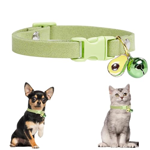 Grünes Welpenhalsband mit Glöckchen, hübsches weiches Katzenhalsband, männliches Hundehalsband mit Glöckchen, für XXS, XS, kleine Haustiere, männliche kleine Hunde, Kätzchen, Tier Grünes Welpenhalsband mit Glöckchen, hübsches weiches Katzenhalsband, männliches Hundehalsband mit Glöckchen, für XXS, XS, kleine Haustiere, männliche kleine Hunde, Kätzchen, Tier von HimyBB