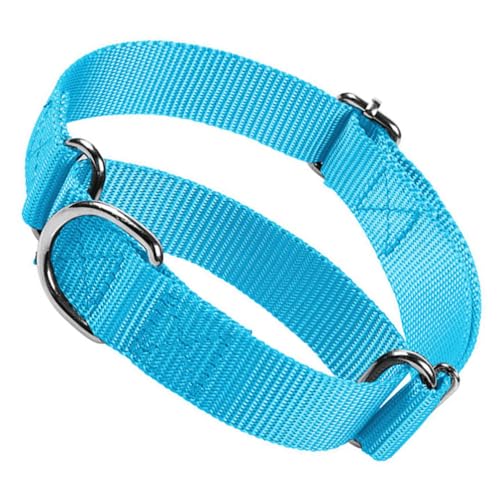 Hellblaues Hundehalsband Martingal, No Pull Choke Dog Collar Escape Proof Cinch Dog Training Collars Adjustable for Small Medium Large Breed Pet Dogs von HimyBB