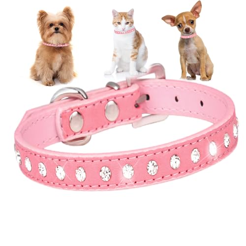 Hundehalsband für kleine Hündinnen, mit Strasssteinen, hübscher Kristall, glitzernd, Glitzer, für Welpen, Größe XXS, XS, S, M, für Mädchen, Katzen, Kätzchen, Rosa, Größe M Hundehalsband für kleine Hündinnen, mit Strasssteinen, hübscher Kristall, glitzernd, Glitzer, für Welpen, Größe XXS, XS, S, M, für Mädchen, Katzen, Kätzchen, Rosa, Größe M von HimyBB