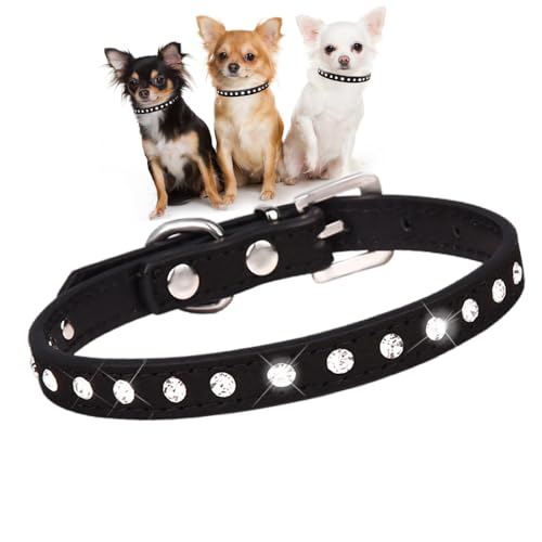 Hundehalsband für kleine Hündinnen, mit Strasssteinen, hübscher Kristall, glitzernd, Glitzer, für Welpen, Größe XXS, XS, S, M, für Mädchen, Katzen, Kätzchen, Schwarz, Größe M Hundehalsband für kleine Hündinnen, mit Strasssteinen, hübscher Kristall, glitzernd, Glitzer, für Welpen, Größe XXS, XS, S, M, für Mädchen, Katzen, Kätzchen, Schwarz, Größe M von HimyBB