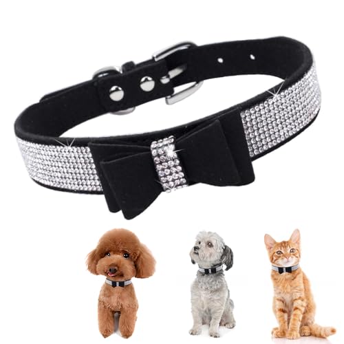 Hundehalsband mit Fliege, Strasssteine, glitzernd, Kristall, niedlich, verstellbar, für kleine, mittelgroße und große Mädchen, Welpen, Katzen, für weibliche Haustiere, Kätzchen, Schwarz, Größe XS Hundehalsband mit Fliege, Strasssteine, glitzernd, Kristall, niedlich, verstellbar, für kleine, mittelgroße und große Mädchen, Welpen, Katzen, für weibliche Haustiere, Kätzchen, Schwarz, Größe XS von HimyBB
