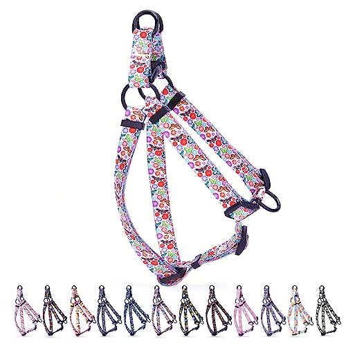 Hundegeschirr, verstellbar, strapazierfähig, kein Ziehen, für kleine, mittelgroße und große Rassen, Rückenclip, verdrehsicher, perfekt für Spaziergänge, Schmetterling, Größe XS von HimyBB